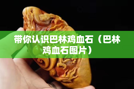 帶你認(rèn)識(shí)巴林雞血石（巴林雞血石圖片）