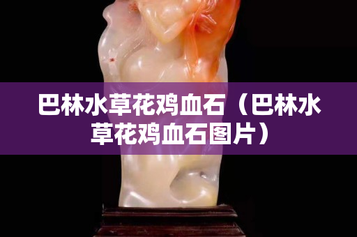 巴林水草花雞血石（巴林水草花雞血石圖片）