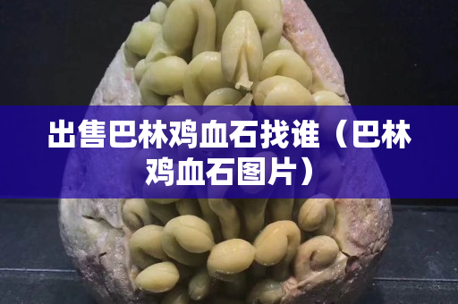 出售巴林雞血石找誰（巴林雞血石圖片）
