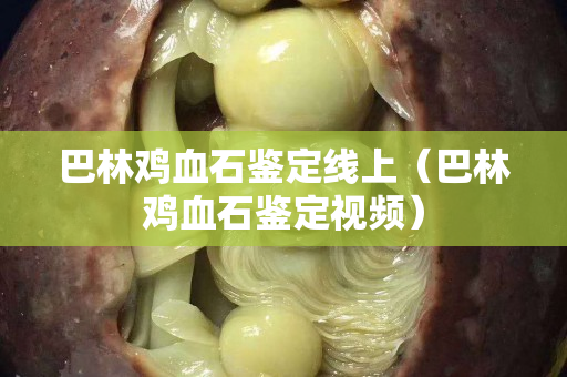 巴林雞血石鑒定線上（巴林雞血石鑒定視頻）