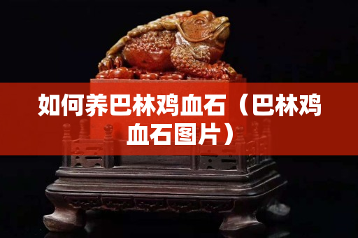 如何養巴林雞血石（巴林雞血石圖片）