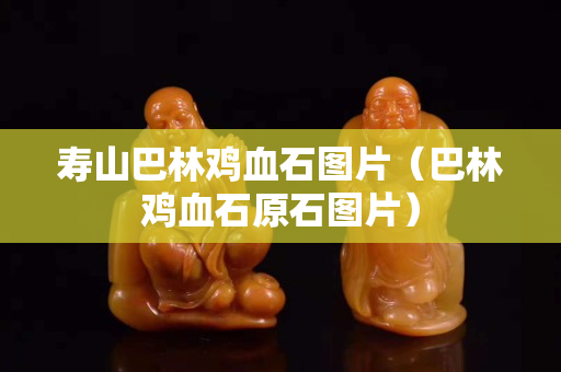 壽山巴林雞血石圖片（巴林雞血石原石圖片）