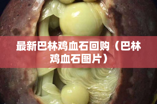 最新巴林雞血石回購（巴林雞血石圖片）