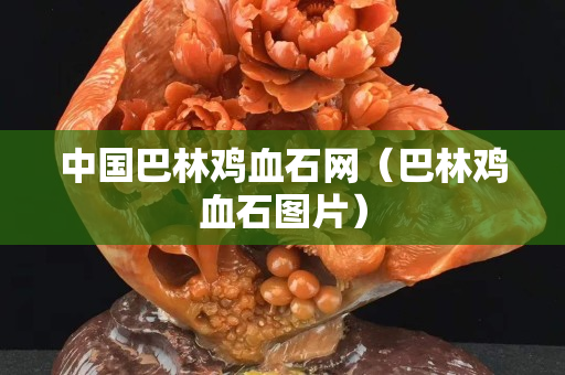 中國巴林雞血石網（巴林雞血石圖片）