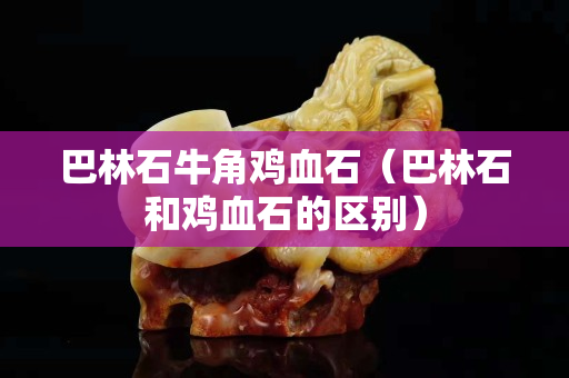 巴林石牛角雞血石（巴林石和雞血石的區別）