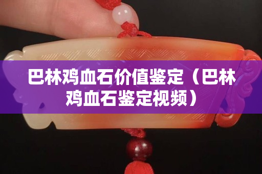 巴林雞血石價(jià)值鑒定（巴林雞血石鑒定視頻）