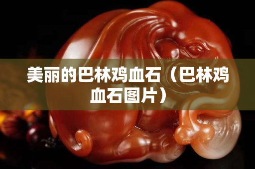 美麗的巴林雞血石（巴林雞血石圖片）