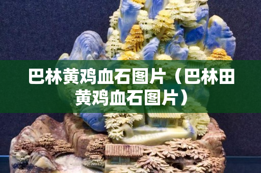 巴林黃雞血石圖片（巴林田黃雞血石圖片）