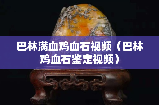 巴林滿血雞血石視頻（巴林雞血石鑒定視頻）