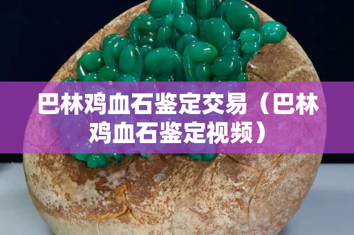 巴林雞血石鑒定交易（巴林雞血石鑒定視頻）