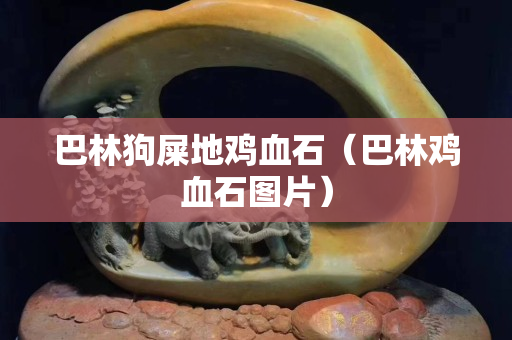 巴林狗屎地雞血石（巴林雞血石圖片）