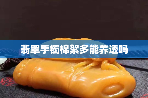 翡翠手鐲棉絮多能養透嗎