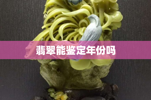 翡翠能鑒定年份嗎