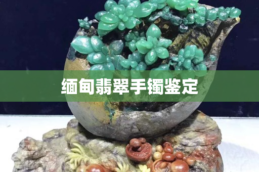 緬甸翡翠手鐲鑒定