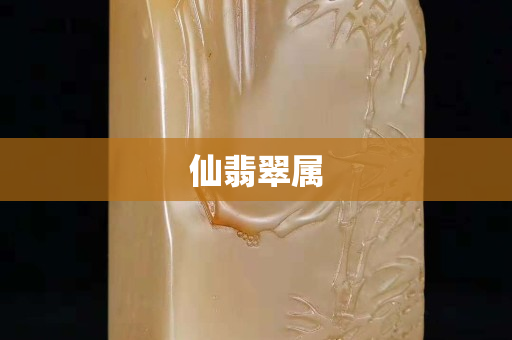 仙翡翠屬