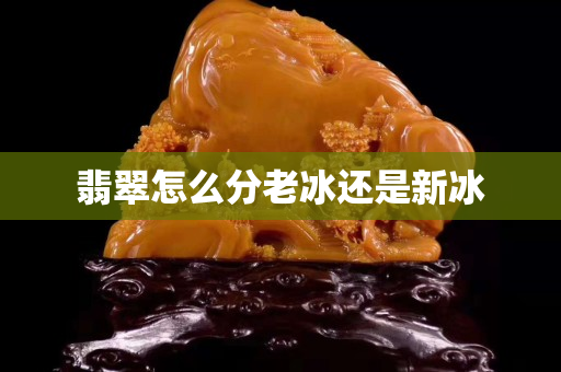 翡翠怎么分老冰還是新冰