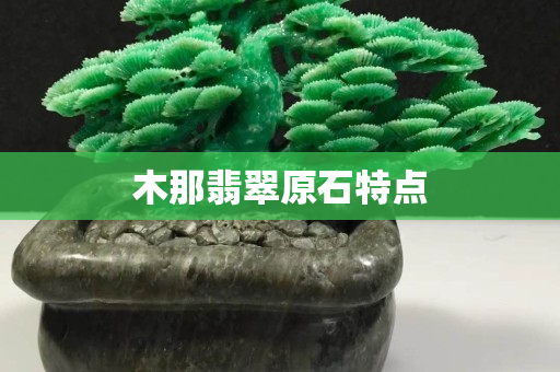 木那翡翠原石特點
