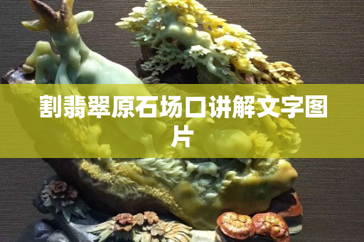 割翡翠原石場(chǎng)口講解文字圖片