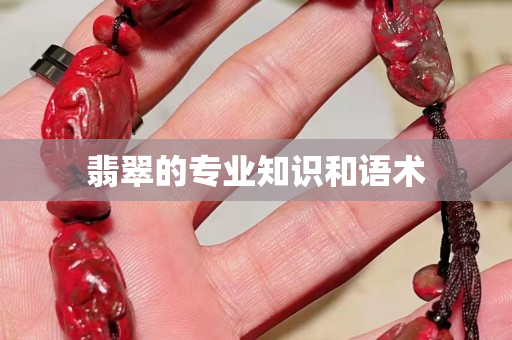 翡翠的專業(yè)知識和語術(shù)