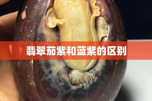 翡翠茄紫和藍紫的區別