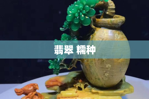 翡翠 糯種