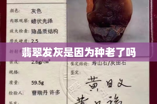 翡翠發灰是因為種老了嗎