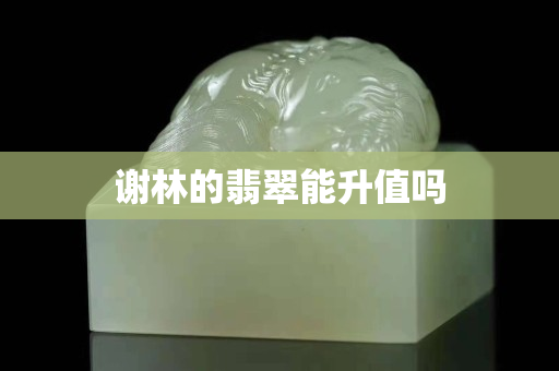 謝林的翡翠能升值嗎