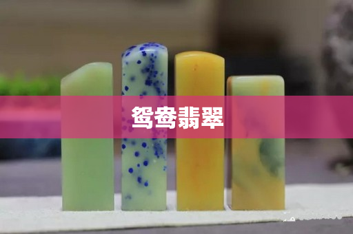 鴛鴦翡翠