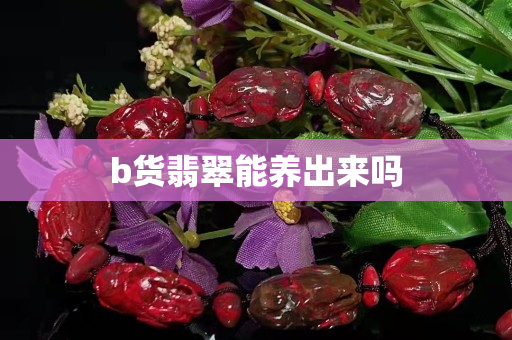 b貨翡翠能養出來嗎