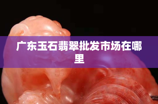 廣東玉石翡翠批發市場在哪里