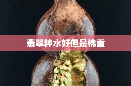 翡翠種水好但是棉重