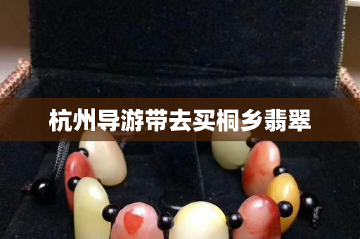杭州導游帶去買桐鄉翡翠
