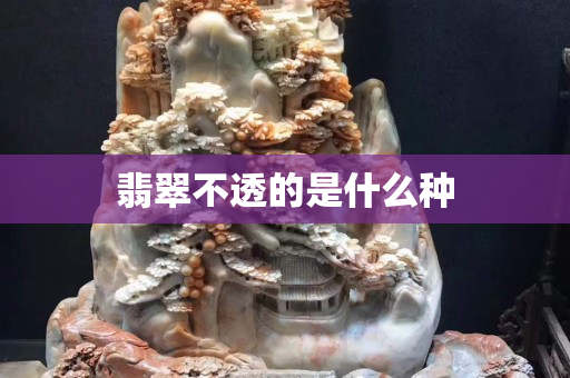 翡翠不透的是什么種