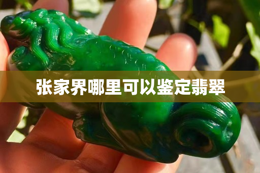 張家界哪里可以鑒定翡翠