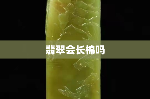 翡翠會(huì)長(zhǎng)棉嗎