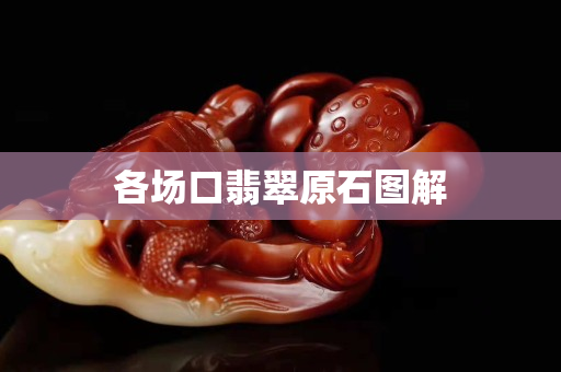 各場(chǎng)口翡翠原石圖解