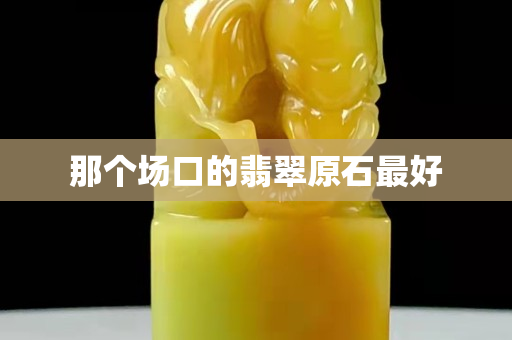 那個(gè)場口的翡翠原石最好