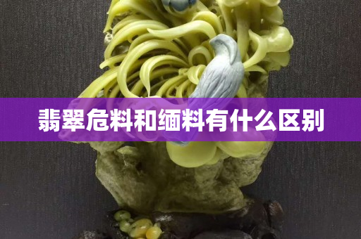 翡翠危料和緬料有什么區別