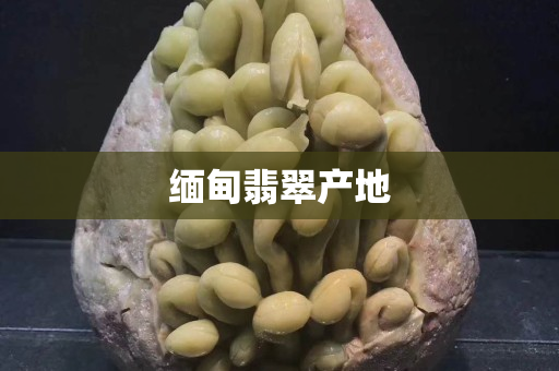 緬甸翡翠產地