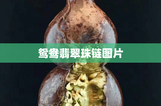 鴛鴦翡翠珠鏈圖片