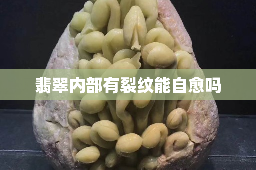 翡翠內部有裂紋能自愈嗎