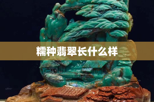 糯種翡翠長(zhǎng)什么樣
