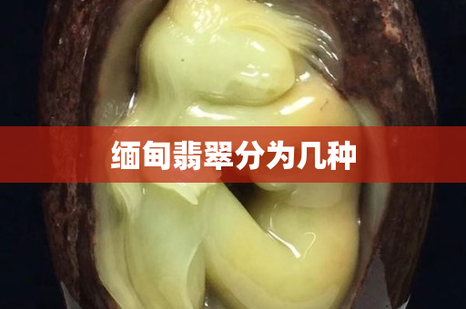 緬甸翡翠分為幾種