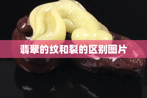 翡翠的紋和裂的區(qū)別圖片