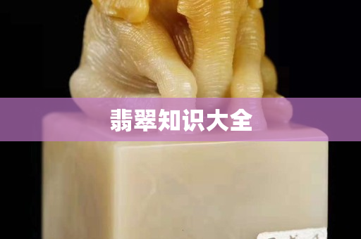 翡翠知識大全