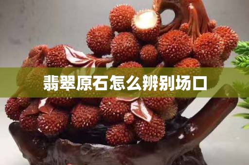 翡翠原石怎么辨別場口 翡翠原石怎么辨別場口