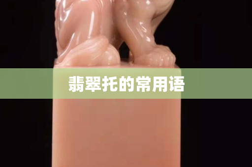翡翠托的常用語
