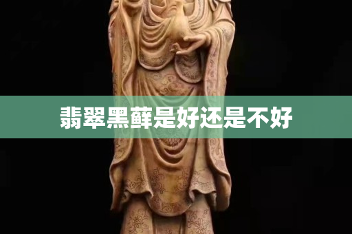 翡翠黑蘚是好還是不好