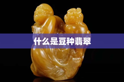 什么是豆種翡翠