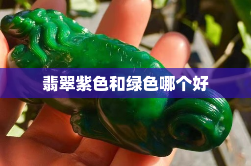 翡翠紫色和綠色哪個好